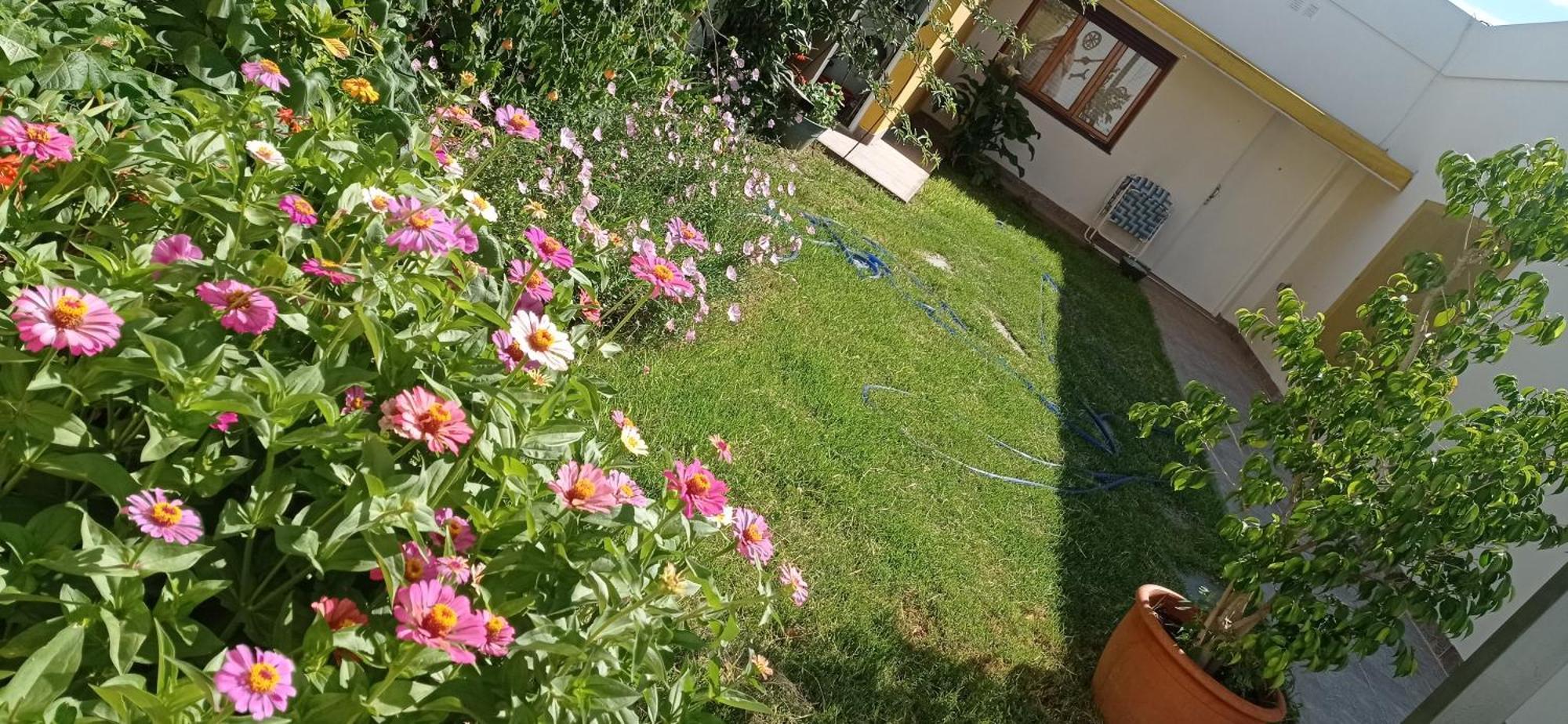 Oasis Cochera Opcional Bahía Blanca Rom bilde
